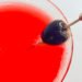 8 Will have to-Take a look at Maraschino Liqueur Cocktails