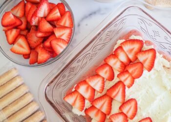 Strawberry Tiramisu – The Commute Chunk