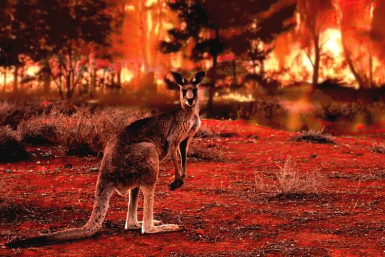 The Global Has Modified – And So Should The Planet D