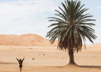 Algeria Expects In depth Expansion in International Vacationers