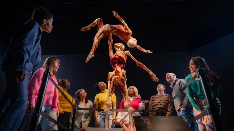 BODY WORLDS 2025 in Philly: 4 Cannot-Leave out Issues to See