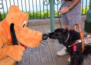 New DAS Elegance Motion Lawsuit Filed Towards Disney Parks