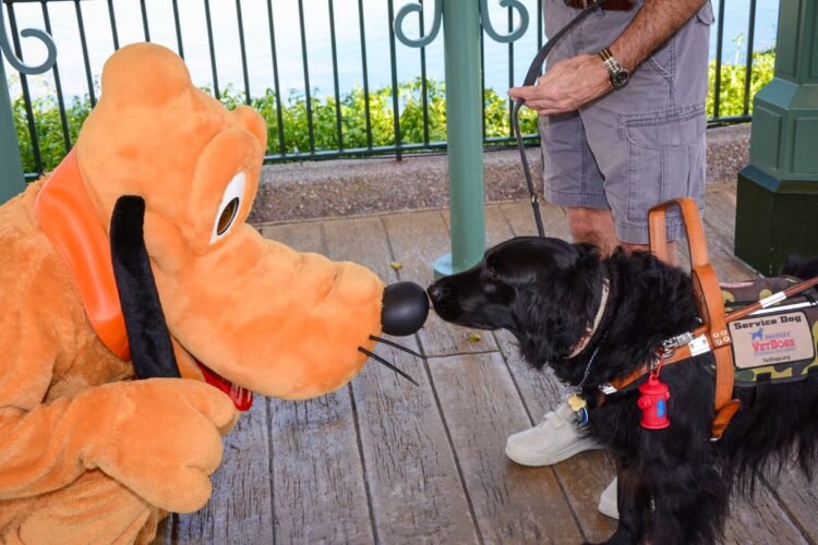 New DAS Elegance Motion Lawsuit Filed Towards Disney Parks