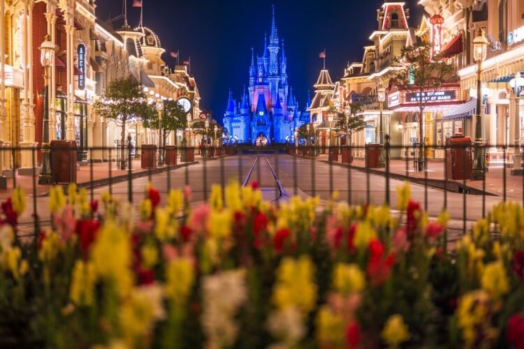 Disney International is Frightened About Its Prime Costs.