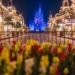 Disney International is Frightened About Its Prime Costs.