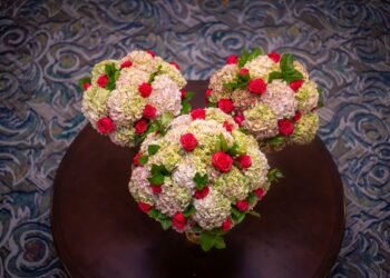 Information to Membership Degree & Concierge Lounges at Disney Global