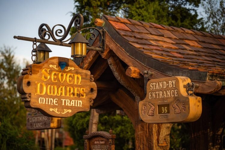 Do not Fall for FOMO with Lightning Lane Premier Go at Disney International