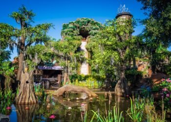 Tiana’s Bayou Journey Has Dreaded Behind schedule Opening on First Day of Standby Line