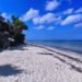 Cozumel Cruise Tours on Margaritaville at Sea