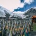 Best 5 Treks in Tibet