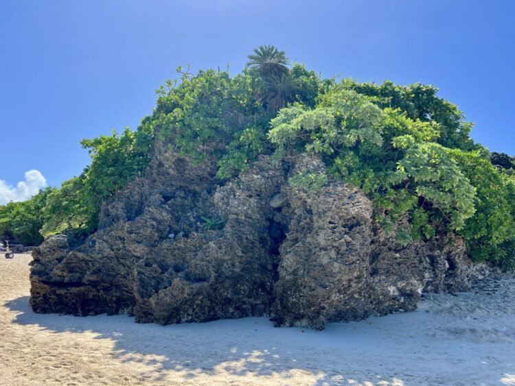 Ishigaki: The Southernmost Island of Okinawa