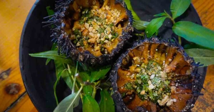 Foodie Information to Phu Quoc Night time Marketplace