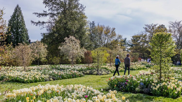 The Absolute best Issues to Do in Philly in April 2025