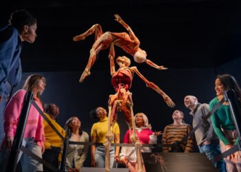 BODY WORLDS 2025 in Philly: 4 Can not-Pass over Issues to See