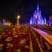 Disney Global Lowers Up-Entrance AP Worth & Will increase Bills