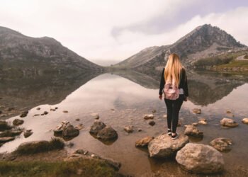 Empower Your World Adventure: Why a Energy of Legal professional is Crucial for Each Traveller