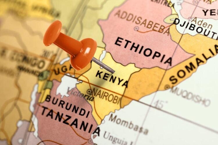 Pink Elephant Ventures raises $4.5M to construct go back and forth era in Africa