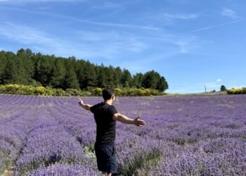 The way to Go back and forth for Reasonable (or Loose) in 2025