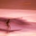 Northeast Asia on-line trip bookings to damage $30B through 2026