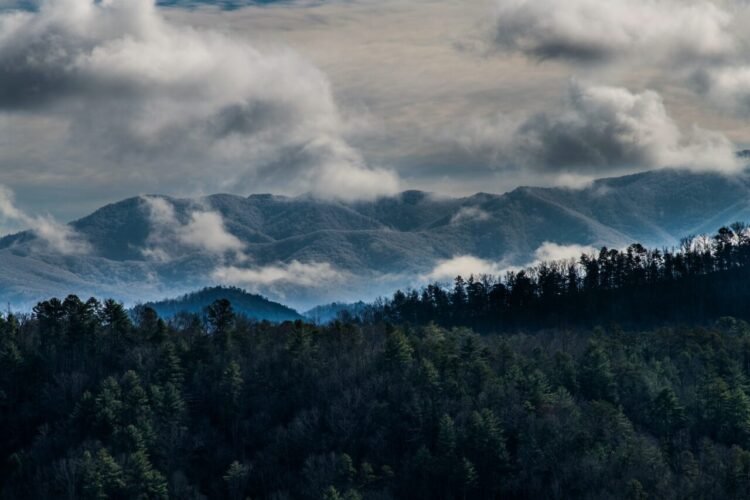 5 Issues To Do With Your Canine When Visiting The Smokies