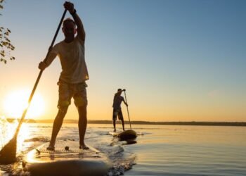 Startup Degree: Walkway is helping process suppliers develop via its AI-powered platform