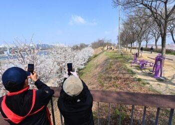 Circle of relatives Shuttle to Hanam Town Creates Valuable Recollections