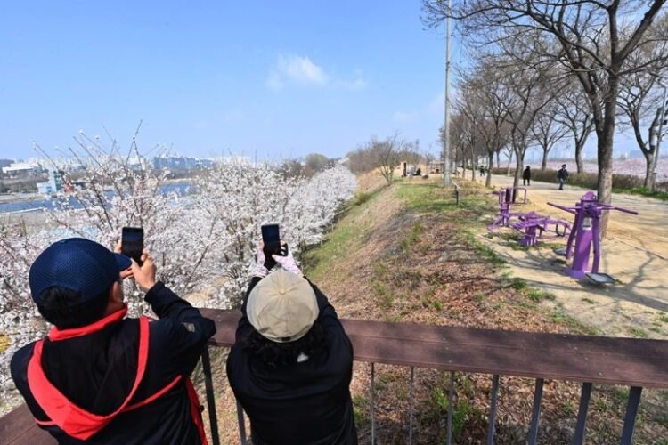 Circle of relatives Shuttle to Hanam Town Creates Valuable Recollections