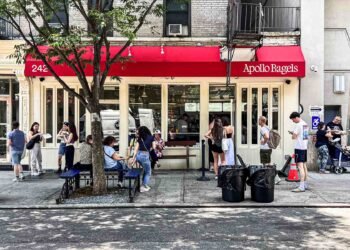 17 Exceptional Bagel Retail outlets in NYC