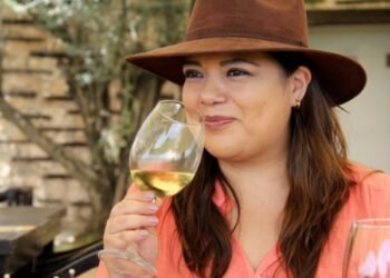 10 M Guests Explored the French Wine Areas