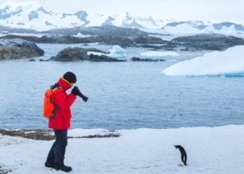 Antarctic Tourism Has Reached Mass Numbers