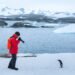 Antarctic Tourism Has Reached Mass Numbers
