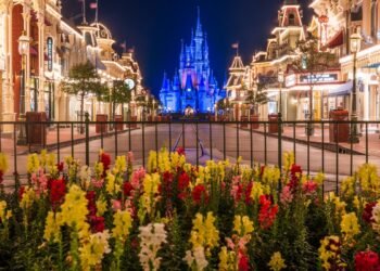 How you can Get the Least expensive Disney International Shuttle Since 2019.