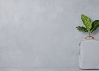 Sustainability-focused journey control platform Goodwings raises just about $3M