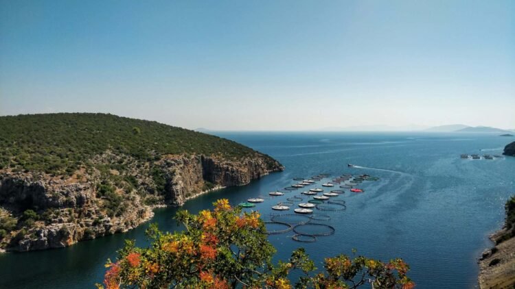 A 7-Day Shuttle – Go back and forth Dudes