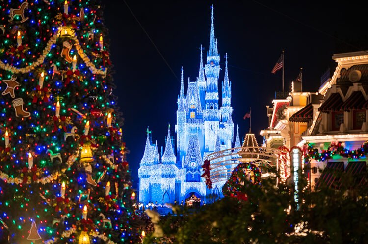 Will Cinderella Citadel’s Dream Lighting fixtures Go back for Christmas 2025?