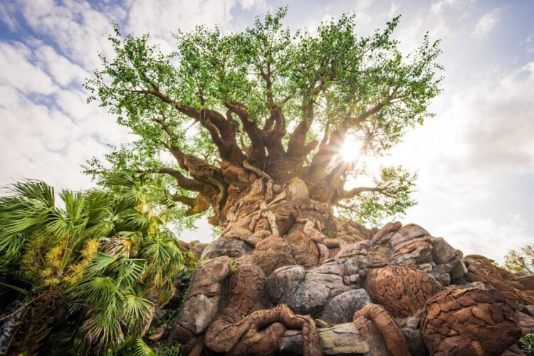 Will have to You Skip Disney’s Animal Kingdom?