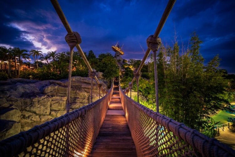 Beat Giant Crowds & Make the Maximum of Disney International’s Unfastened Water Park Day in 2025!