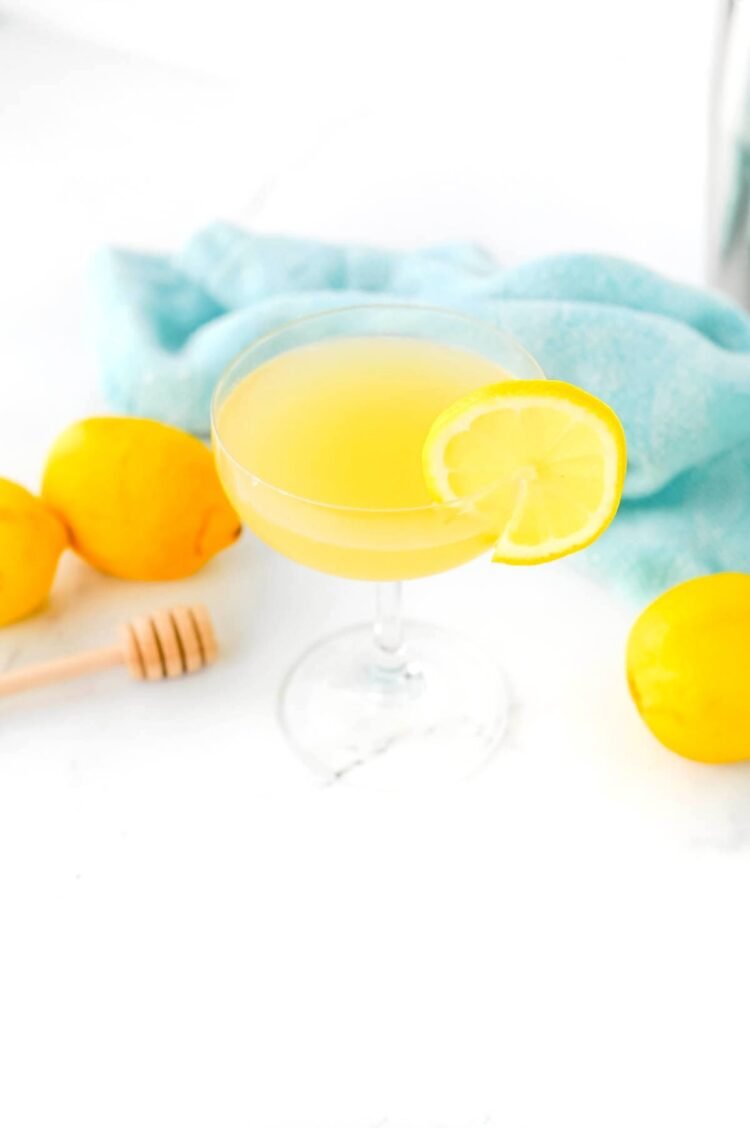 Bee’s Knees Cocktail Recipe – Meals Amusing & Far flung Puts