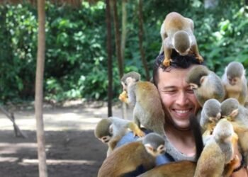 New Airport in Bali Would possibly Irritate the Overtourism Issues