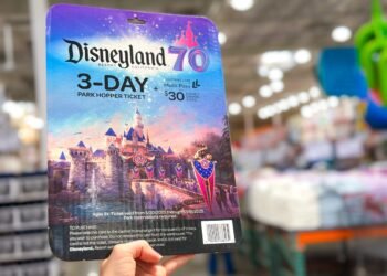 Loopy-Just right Price ticket Deal for Disneyland’s seventieth!