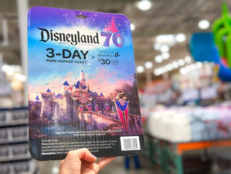 Loopy-Just right Price ticket Deal for Disneyland’s seventieth!