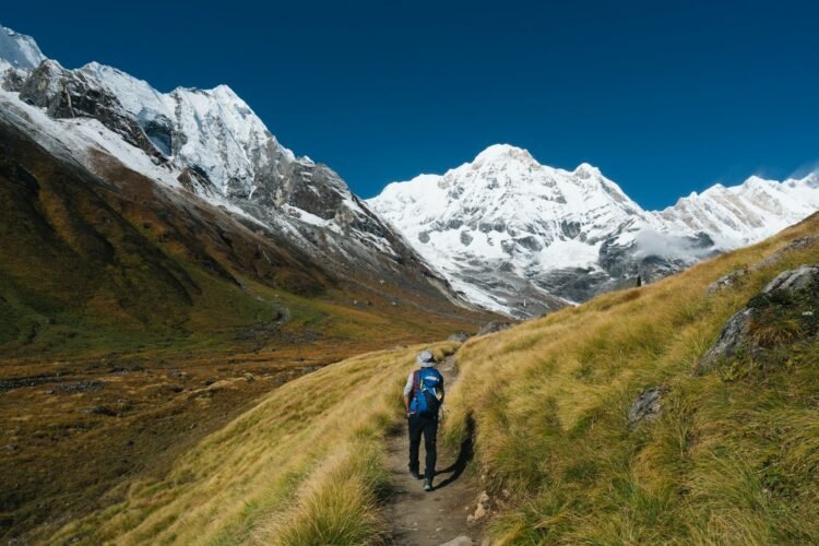 Trekking Via Nepal’s Middle: Langtang Valley and Annapurna Circuit Adventures