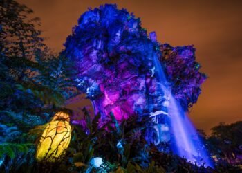 Prolonged Night time Hours Returns to Animal Kingdom…for Rest of 2025?