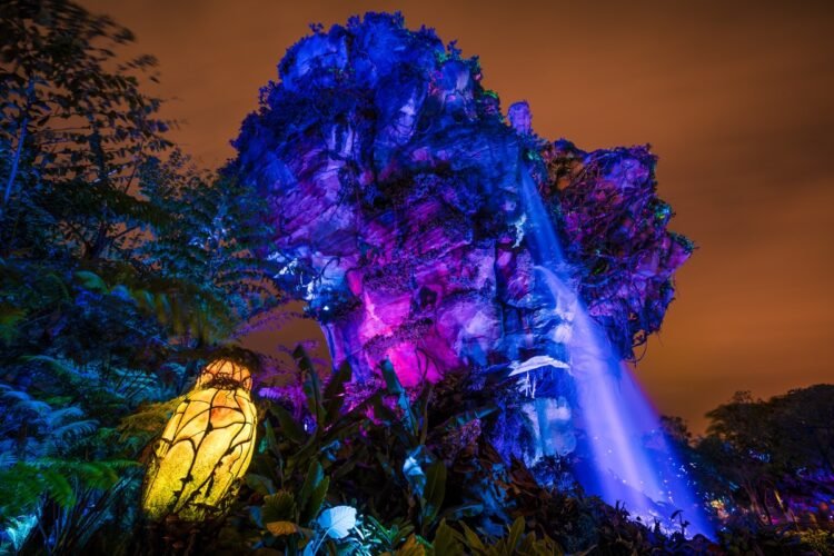 Prolonged Night time Hours Returns to Animal Kingdom…for Rest of 2025?