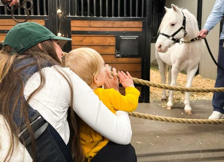 Artwork of Animation vs. Castle Desolate tract