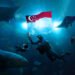 Singapore Oceanarium all set to supply new points of interest