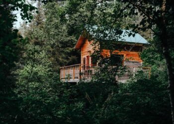 What Are the Best possible Circle of relatives Tenting Places in Canada?