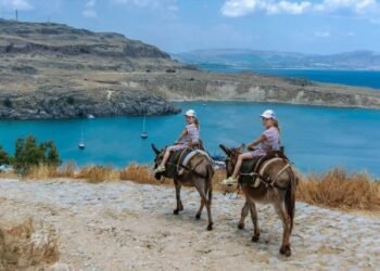 Greece’s Islands Sound Alarm because of Lack of Forests