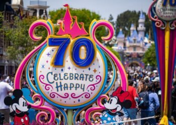 Is It Secure to Talk over with Disneyland?