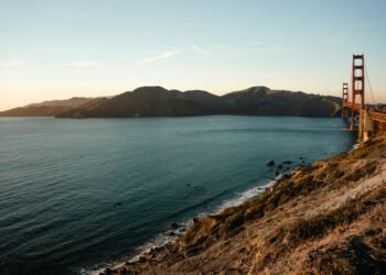 Finding San Francisco’s Hidden Wine Treasures